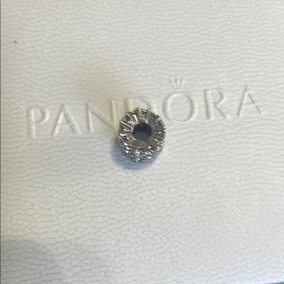 Pandora Silver Charm with Blue Accents - Picture 4 of 7
